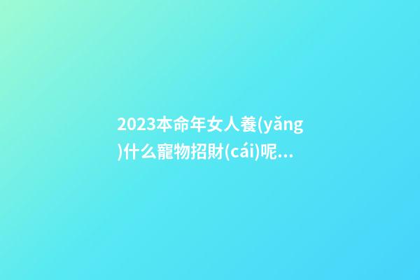 2023本命年女人養(yǎng)什么寵物招財(cái)呢 貓咪和小狗